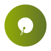 Lots of Swimming Sperm