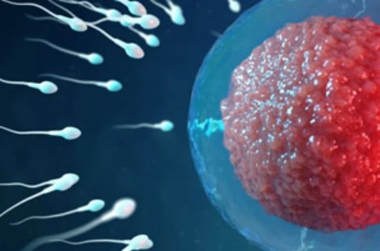 Reproductive Genetics